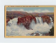 Postcard Original Cataracts of Twin Falls Snake River Idaho USA picture