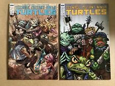 Teenage Mutant Ninja Turtles  TMNT #126 Cover A + B Set IDW Punk Frogs picture