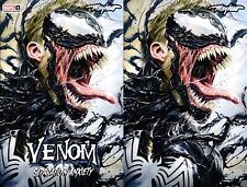 VENOM: SEPARATION ANXIETY #1 (2024) Mike Mayhew Studio Variant Cover A & B Glow picture