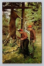 Galeton PA-Pennsylvania, General Greetings, Field Dressing Deer Vintage Postcard picture