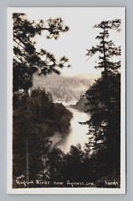 Postcard RPPC Rogue River Near Agness Oregon Unposted picture