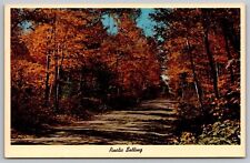 Rustic Setting Wilmington New York Adirondacks Quaker Mount Road VNG Postcard picture