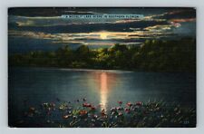 Southern FL-Florida, Moonlit Lake Scene  Vintage Souvenir Postcard picture