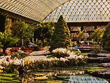 Vintage Postcard, KENNETT SQUARE, PA, Interior Longwood Gardens, Orchids,Pansies picture