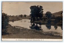 1914 Butternut Creek Near Gilbertsville Morris NY Phelps RPPC Photo Postcard picture
