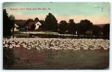 Postcard PA Pen Mar Mentzer's Duck Farm 1917 picture
