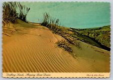Postcard Michigan Sleeping Bear Dunes Drifting Sands 8N picture