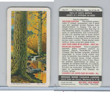 FC34-12 Brook Bond, Trees North America, 1968, #17 Balsam Poplar picture