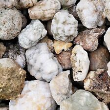 Kentucky Geode Treasure Lot – Unearth Nature’s Hidden Gems 2 - 14 pounds variety picture