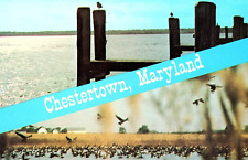 Vintage Postcard Maryland, Greetings from Chestertown, M.D. - c1980 picture