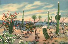 Postcard Daybreak On The Desert c1936 picture