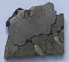 Canyon Diablo Meteorite 13.1 g Slice Meteor Crater Arizona USA picture