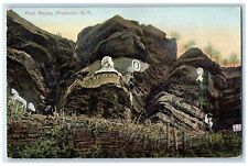 c1910's View Of Pratt Rocks Prattsville New York NY Unposted Antique Postcard picture