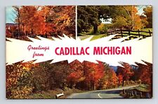 Greetings Cadillac Michigan Scenic Multi View Autumn Landscape Chrome Postcard picture