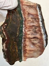 Rare Unusual Flame Agate Slabette SET Similar To Bird of Paradise / Lapidary A+ picture