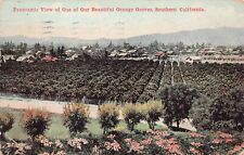 Glendale CA California Orange Grove Orchard Farm Woodburry Hill Vtg Postcard W2 picture