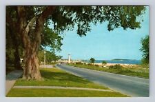 Biloxi MS-Mississippi, Along the Coast, Light House, Antique Vintage Postcard picture