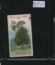 1911 Cadbury's Bournville British Trees - #10 Mountain Ash (401558) picture