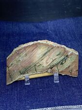Petrified Wood, Pink  Jasper Replacement . Display, Polished picture