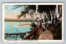 Rangeley ME-Maine, Along The Board Walk, Rangeley Lake, Vintage c1923 Postcard picture