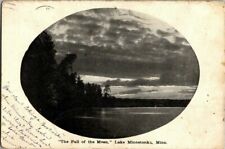 1908. LAKE MINNETONKA, MN. POSTCARD GG2 picture