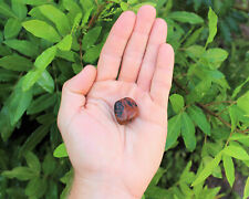 Mahogany Obsidian Tumbled Stones: Choose How Many Pieces ('A' Grade Obsidian) picture