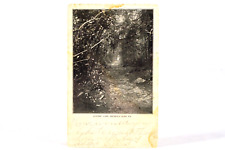 1905 Shohola Glen Lover's Lane Antique Private Mailing Card Postcard RARE picture