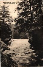 Upper Gorge High Falls Dingman's Ferry Pennsylvania Divided Postcard c1915 picture