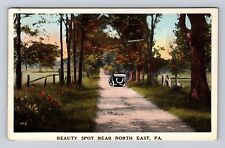 PA-Pennsylvania, Beauty Spot near North East Pennsylvania, Vintage Postcard picture