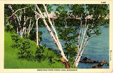 Greetings from Forest Lake Minnesota Linen Postcard 1938 picture