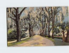 Postcard A Peaceful Lane in Florida picture