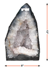 DMS Store Amethyst Geode from Brazil R.2899 (Dim.: 13