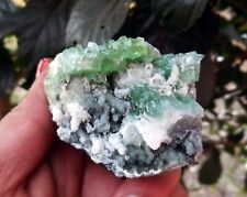 Green APOPHYLLITE On CHALCEDONY Matrix Minerals A-4.24 picture