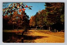 PA- Pennsylvania, Cabins At Cook Forest State Park, Vintage c1955 Postcard picture