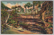Postcard KY Hidden River Cave Entrance People Scenic Nature View Kentucky picture