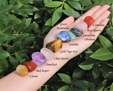 Beginners Crystal Kit, 10 pcs In Velvet Pouch - Most Popular Tumbled Crystals  picture