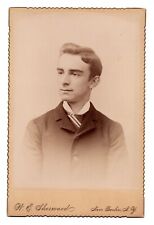 CIRCA 1890s CABINET CARD W.E. SHERWOOD HANDSOME YOUNG MAN NEW BERLIN NEW YORK picture