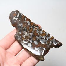 90g Beautiful SERICHO pallasite Meteorite slice - from Kenya C7707 picture
