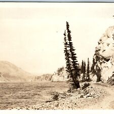 c1920s Unknown Lake RPPC Mountain Trail Amateur Real Photo Postcard Antique A95 picture