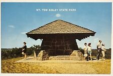 People at Mt Tom Sibley State Park Old Indian Lookout New London MN Vtg Postcard picture