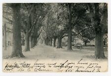 Savannah GA The Hermitage Postcard 1905 Hermitage Plantation picture