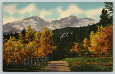 c1940s Linen Long's Peak Rocky Mountain National Park Postcard picture