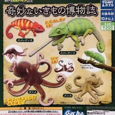 Playable creature figure Strange creature natural history 4 types gacha 24Y picture