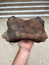 Large Fossilized Extinct Baleen Whale Vertebrae  Fossil - Not Modern picture