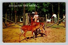 Tomahawk WI-Wisconsin, Scenic Greetings, c1966, Vintage Postcard picture