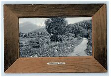 1908 Wooden Frame, Wilmington Notch New York NY Hammondsport NY Postcard picture