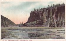 Obsidian Cliff Yellowstone Park 1911 Wyoming WY Postcard C49 picture