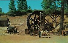 Vintage Postcard Near the town of Columbia CALIFORNIA  picture