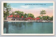 Postcard Silver Springs Near Ocala Florida picture