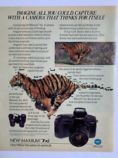 Print Ad Minolta Maxxum 7xl Tiger Running picture